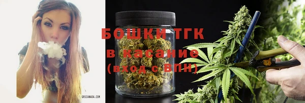 прущие грибы Богородск