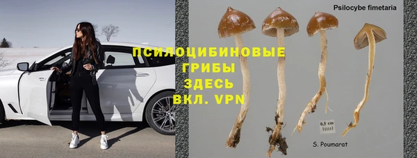 крисы Богданович