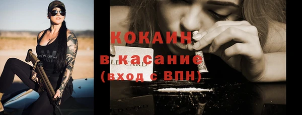 крисы Богданович