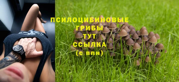 стафф Богородицк