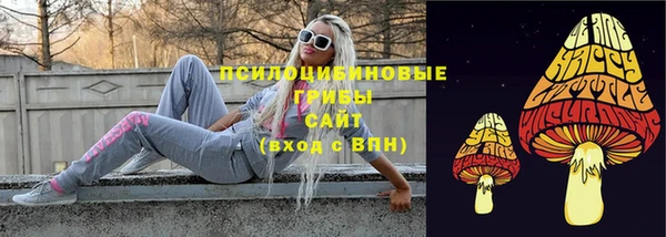 стафф Богородицк