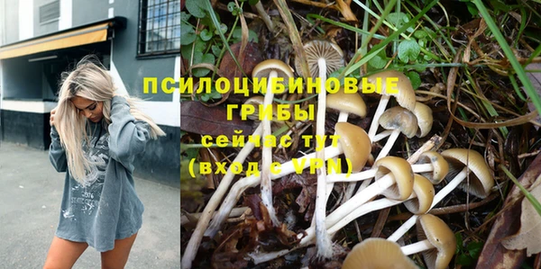 прущие грибы Богородск