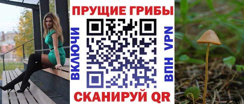 Псилоцибиновые грибы Magic Shrooms  Купить  Куровское 